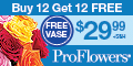 Buy 12 Roses Get 12 FREE w/ FREE vase $29.99!  