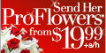 ProFlowers