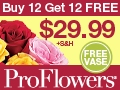 Buy 12 Roses Get 12 FREE!