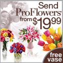 ProFlowers logo banner 125x125