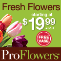 Fresh Flowers from $19.99 w/ FREE vase!