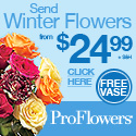 Send Winter Flowers