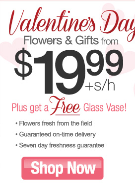 Valentine's Day Flowers from $19.99 plus get a FREE glass vase!