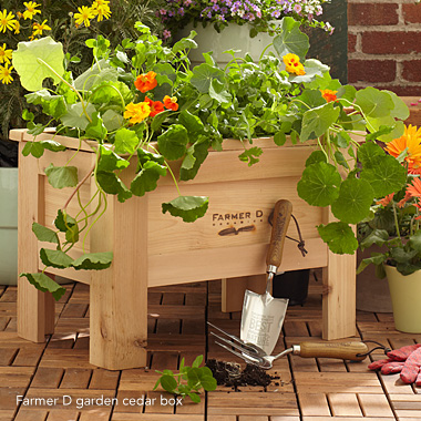 Farmer D Garden Cedar Box