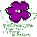 Proflowers.com Home Page